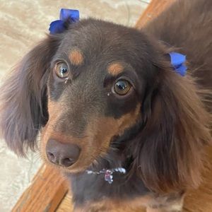 Meet your Posher, Angela